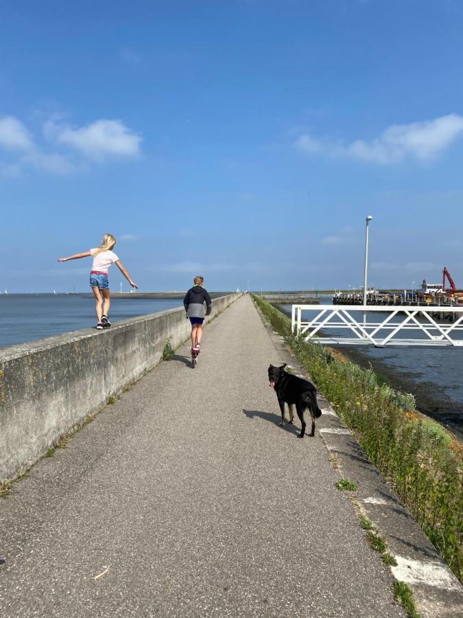 Warm Welkom! Zeer Ruime Prive Studio Met Tuin ハルリンゲン エクステリア 写真